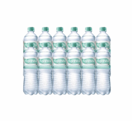 AGUA MINERAL C/GAS FLORESTA 12