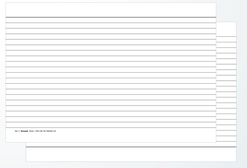 FICHA PAUTADA 6X9 229X152MM PC