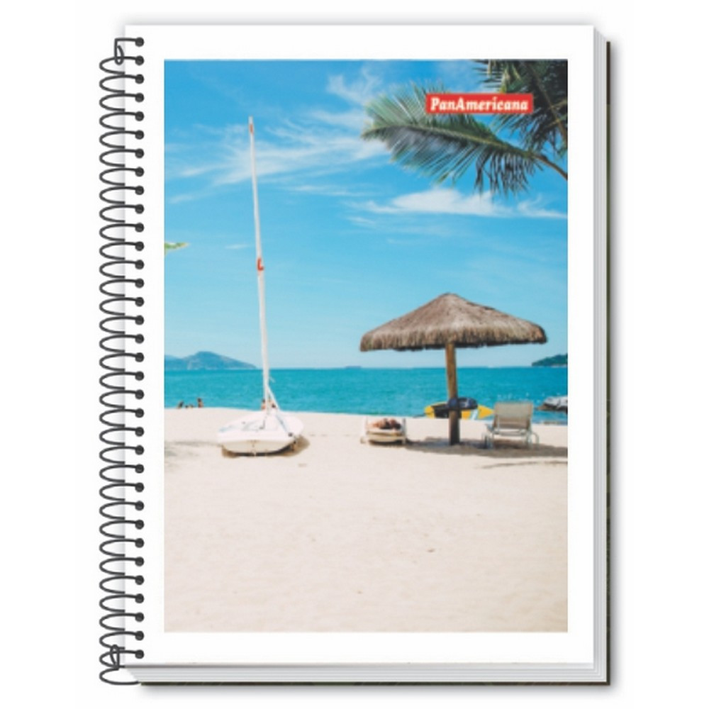 CADERNO UNIV. FLEXIVEL 96FLS >