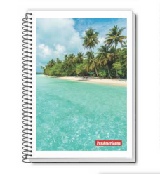 CADERNO UNIV. FLEXIVEL 200FLS