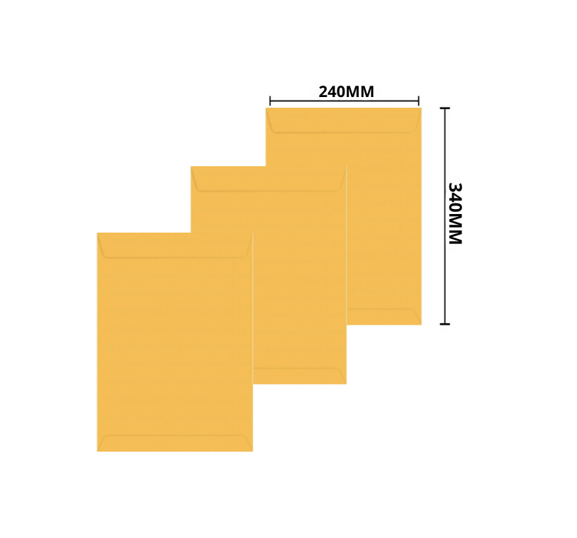 ENVELOPE OF 2 OURO 240X340MM 8