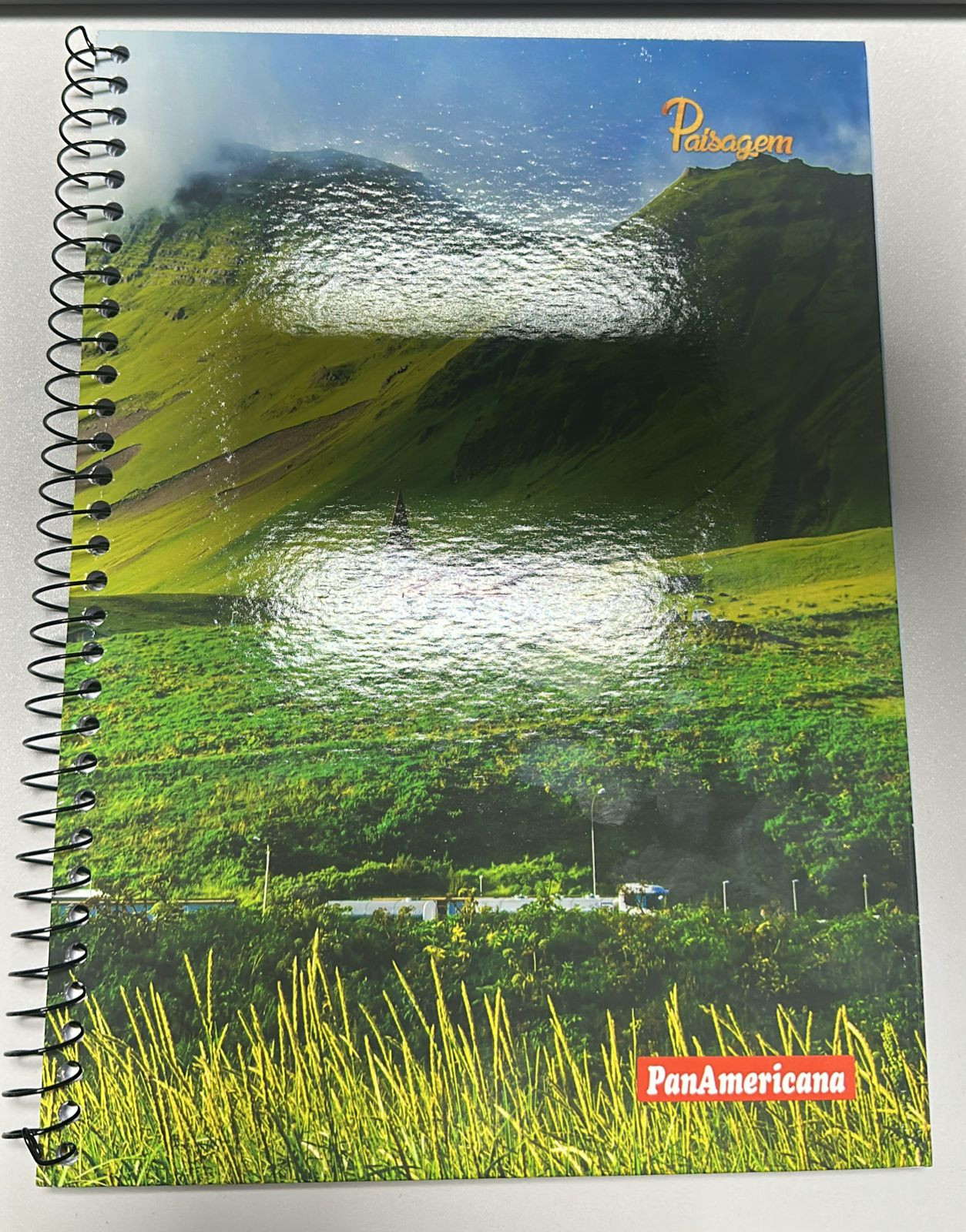 CADERNO UNIV. CAPA DURA 80FLS